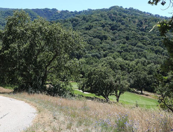 33800 Robinson Canyon Rd, Santa Lucia Preserve